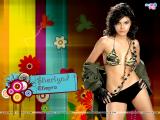 Sherlyn Chopra